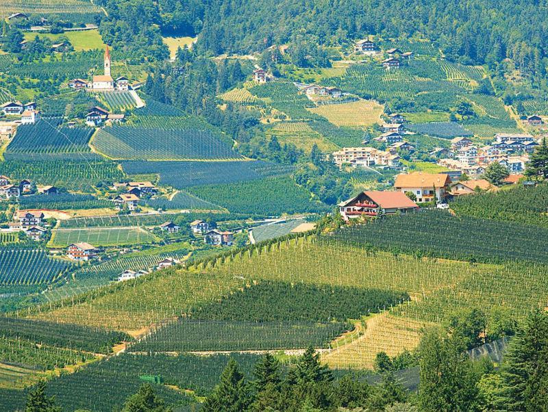 Pension Zum Burggraefler Schenna Buitenkant foto